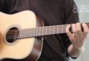 Takamine GD20-NS Acoustic Guitar review