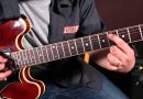 How to “Jazz” up Your Blues Chords – Blues Guitar Lessons – Embellishments by Marty Schwartz