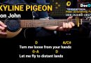 Skyline Pigeon – Elton John (Guitar Chords Tutorial with Lyrics)