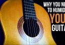 GUITAR TIP: Why you NEED to humidify your guitar