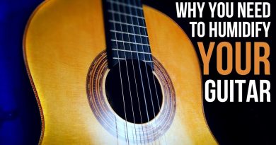 GUITAR TIP: Why you NEED to humidify your guitar