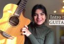 Your First Guitar Lesson – Introduction to Guitar for Beginners (Hindi)