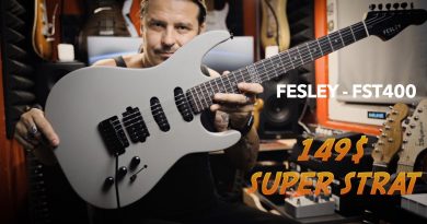 Fesley FST400 – Guitar Review