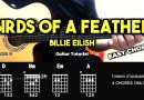 Birds Of A Feather – Billie Eilish | Easy Guitar Chords Tutorial For Beginners (CHORDS & LYRICS)