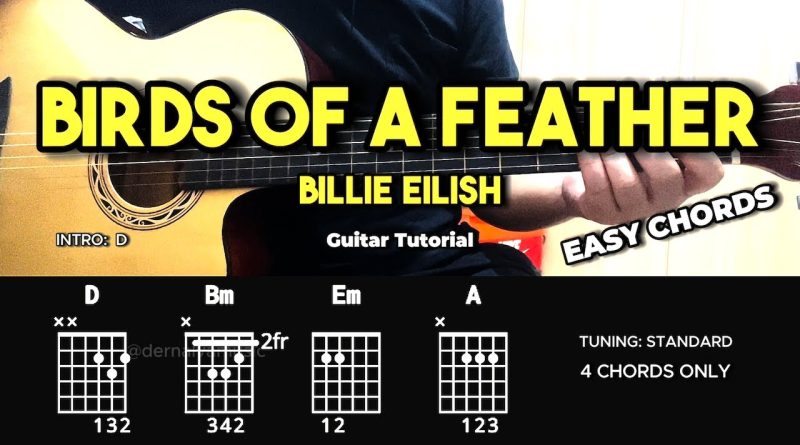 Birds Of A Feather – Billie Eilish | Easy Guitar Chords Tutorial For Beginners (CHORDS & LYRICS)