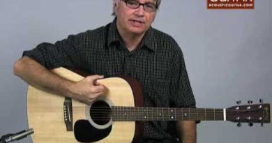 Acoustic Guitar Review – Martin D-1 Review