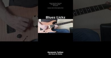 LEVEL UP With THIS | Stylish Blues Licks | Intermediate Guitar Lesson