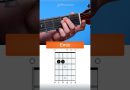 How to play the Em Chord on Guitar (the easiest way!) #Shorts