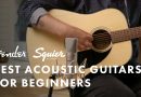 Best Beginner Acoustic Guitars | Fender CD-60, CD-60SCE, Redondo Player | Fender