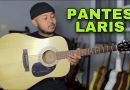 Nyoba Beli Gitar Akustik Sejuta Umat! Kenapa Banyak Yang Beli? | Review Cort AD 810 E OP