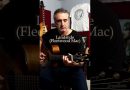 3 easy fingerstyle songs for beginners to learn #shorts