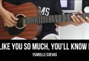 I Like You So Much,You'll Know It – Ysabelle Ceuvas | EASY Guitar Tutorial with Chords / Lyrics