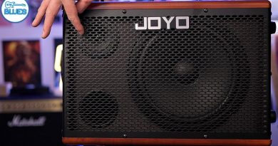 Joyo BSK-60 Acoustic Guitar Amplifier Review | This has EVERYTHING!